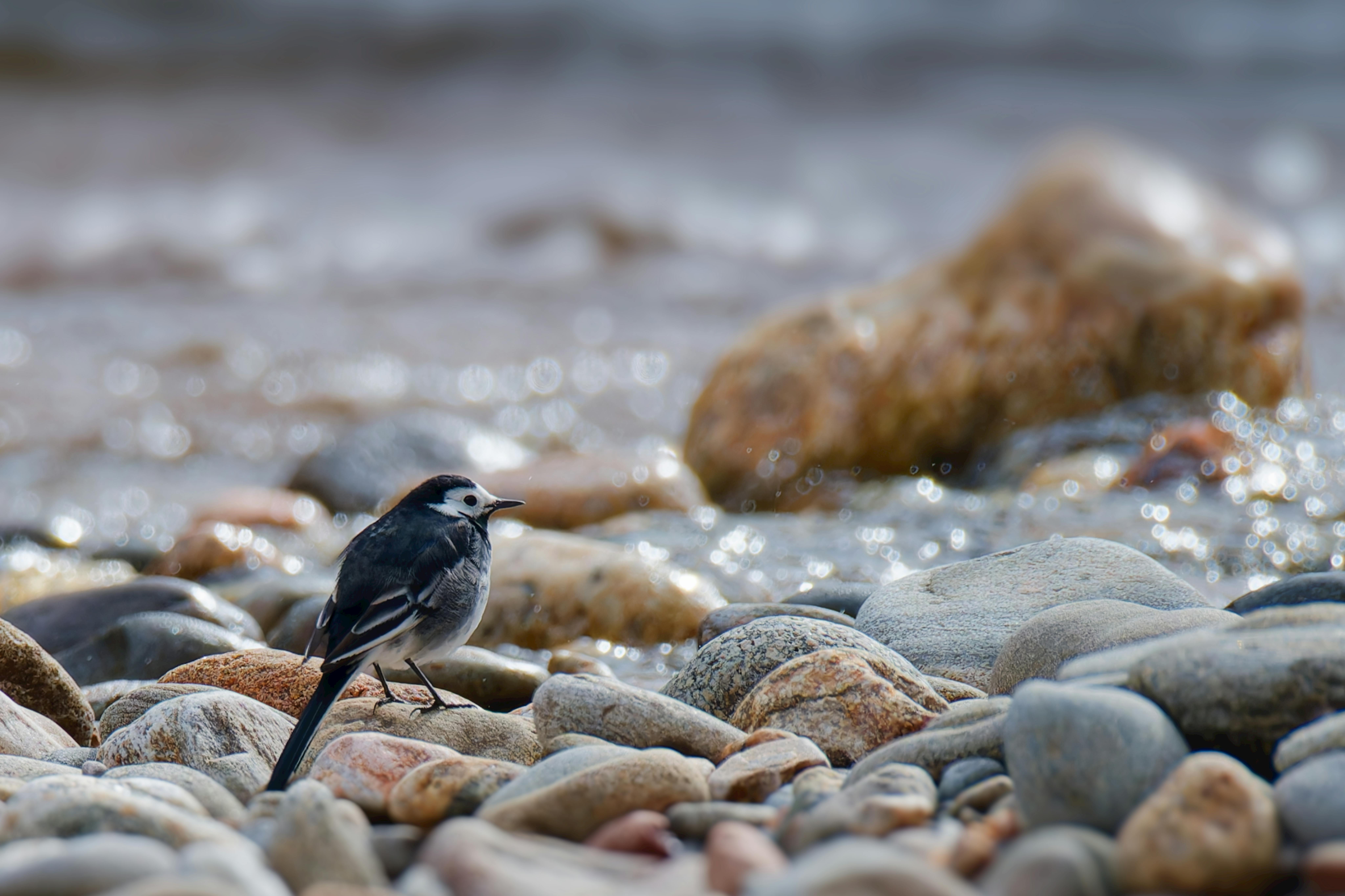 Vue panoramique de Tel Aviv et sa plage méditerranéenne - Elynor Tours