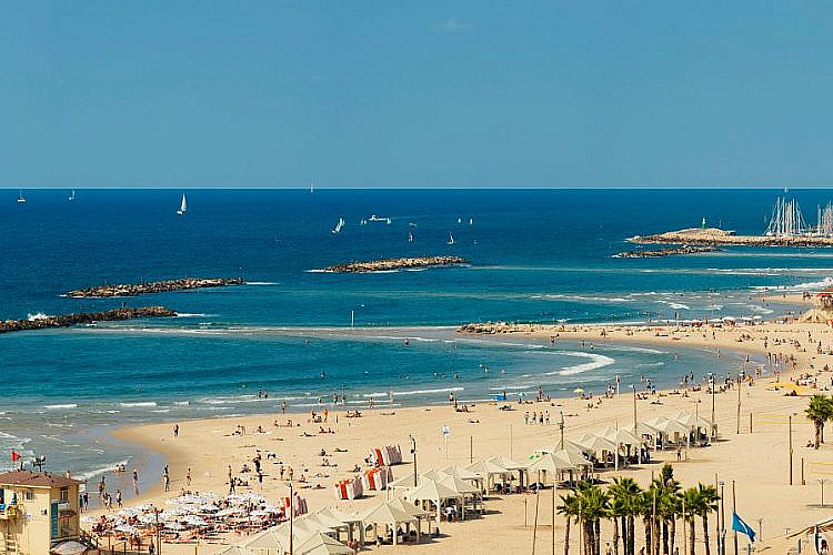 Bograshov Beach - Photo 1